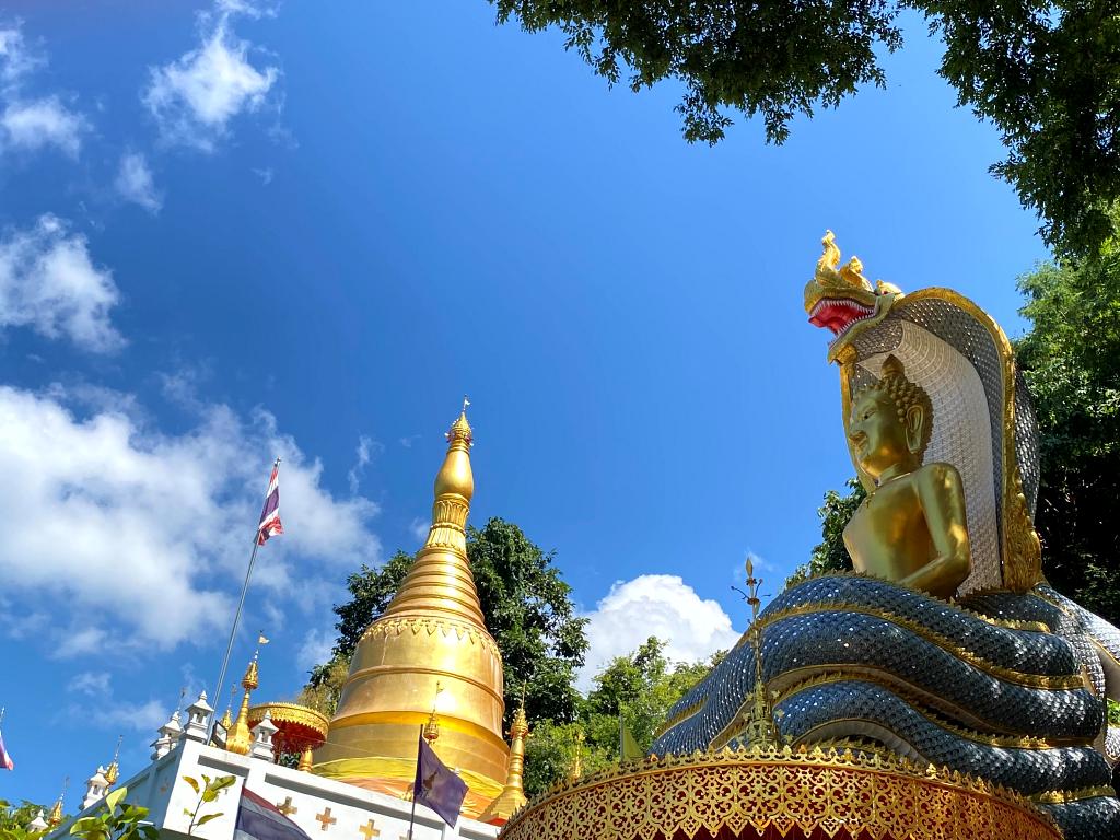 1024-Nan-T- 20221103_054435636_iOS