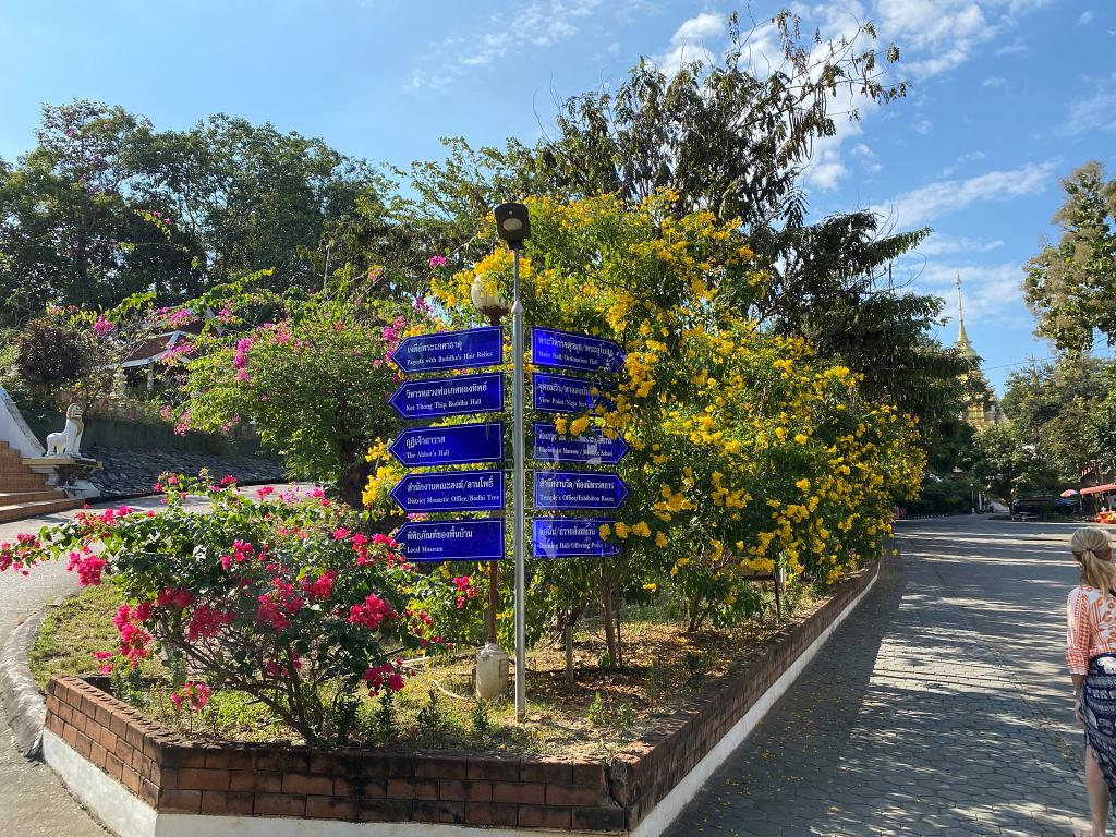 1024-Nan-T- 20221107_073505316_iOS