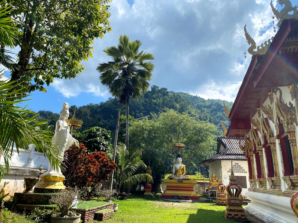 1024-Nan-T- 20221103_060127690_iOS