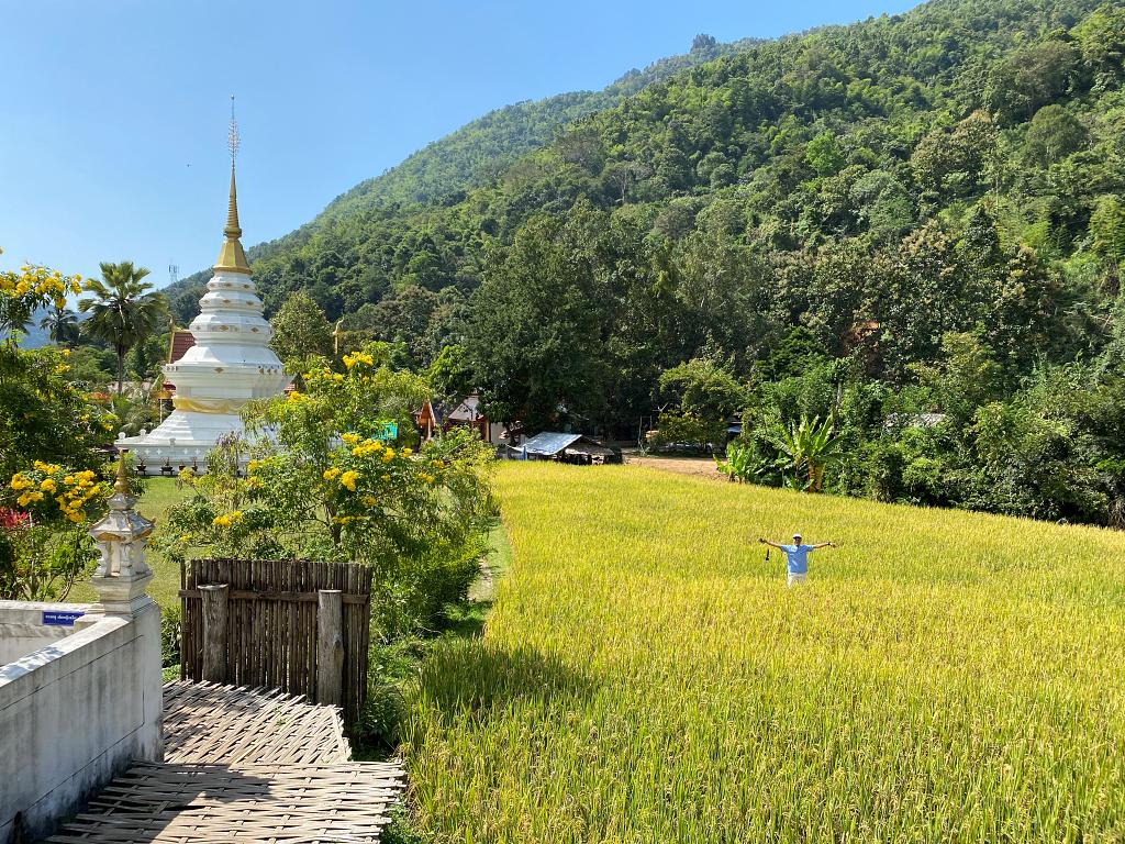 1024-Nan-T- 20221103_060445037_iOS