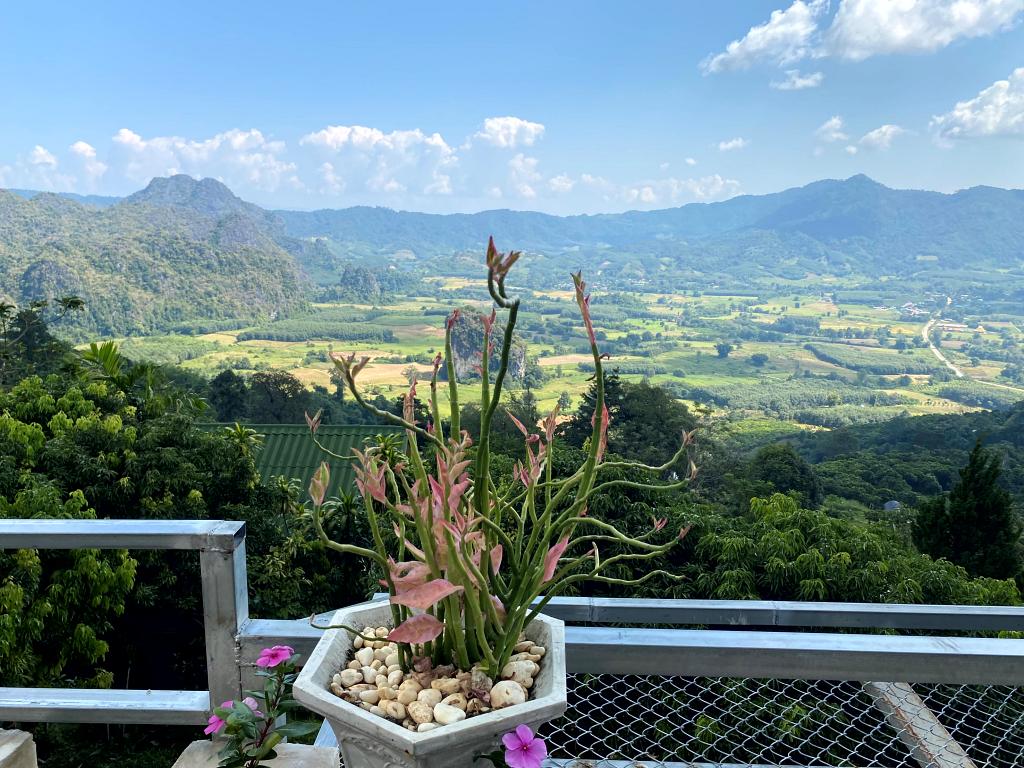 Blick auf Phu Langka NP