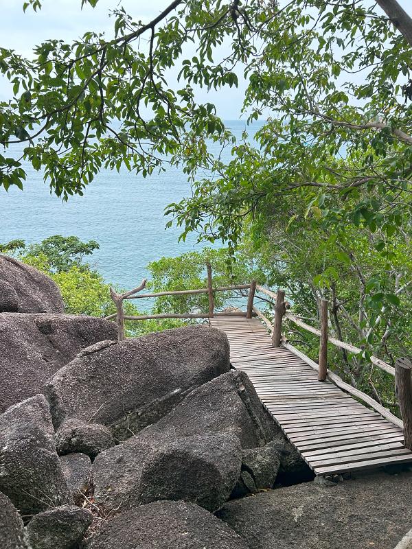 600-Moon-Dance-VP-20240918_044002707_iOS