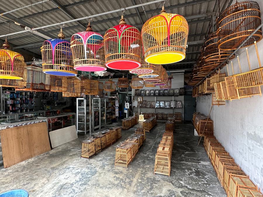 900-Chumphon-20240917_032818301_iOS