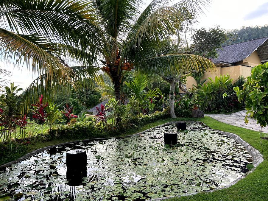 900-Wapa-Sidemen-20231205_092924545_iOS