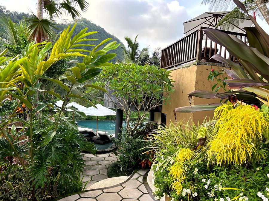 900-Wapa-Sidemen-20231205_093121979_iOS