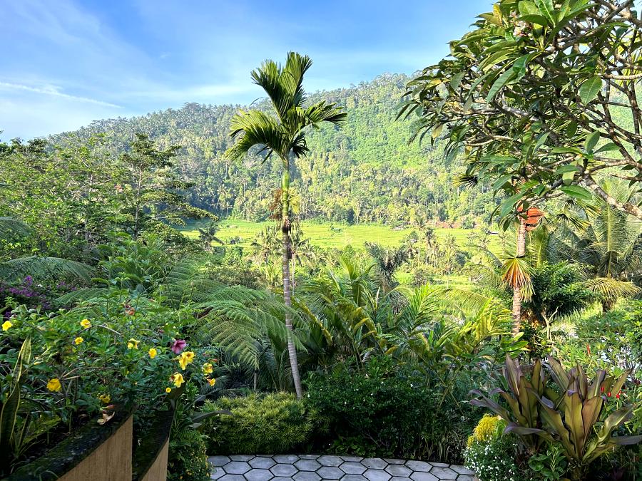 900-Wapa-Sidemen-20231205_230052232_iOS