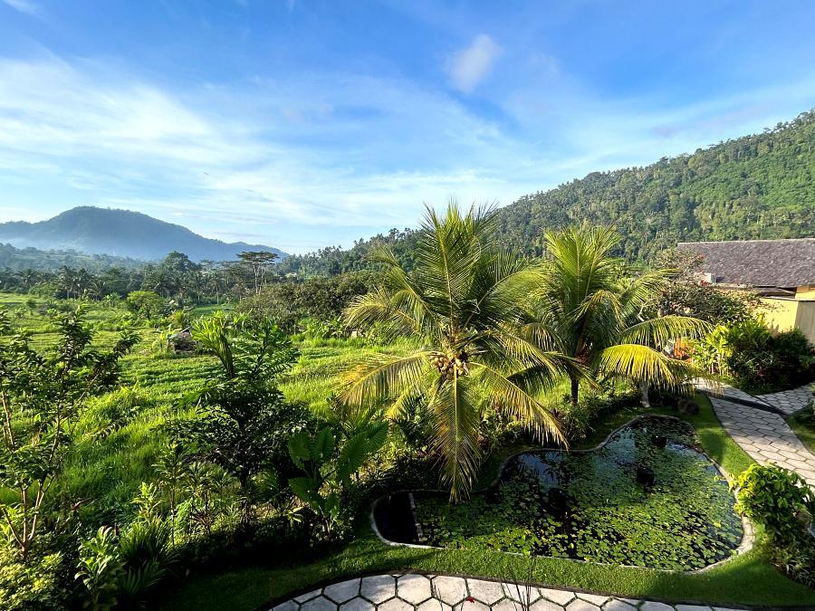 900-Wapa-Sidemen-20231205_231030556_iOS