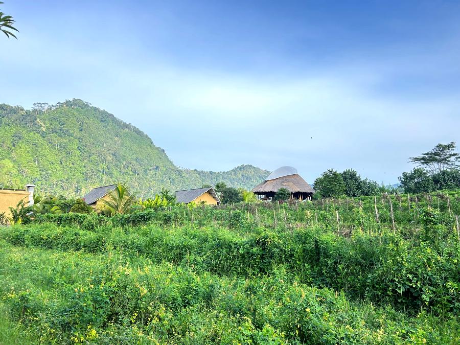 900-Wapa-Sidemen-20231205_231303791_iOS