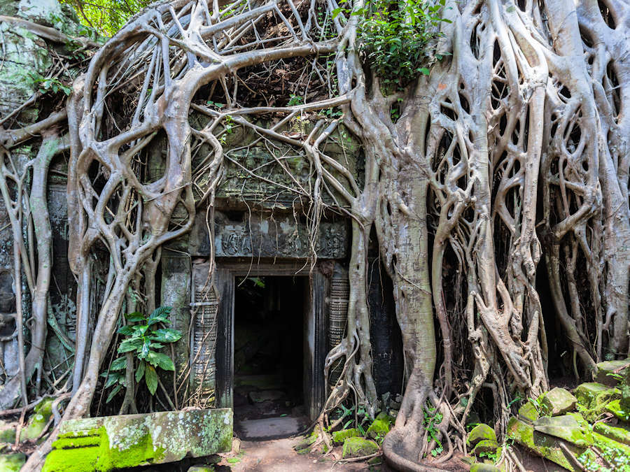 Tempeleingang in Ta Phrom
