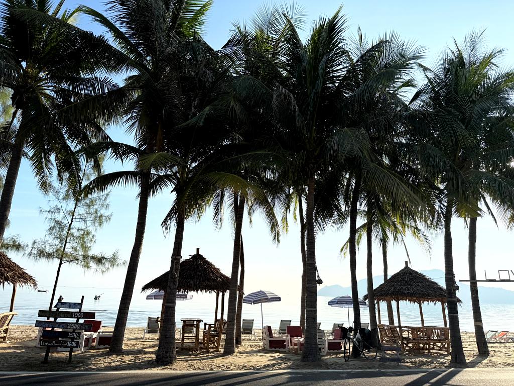 1024-NL-20260302_005044135_iOS