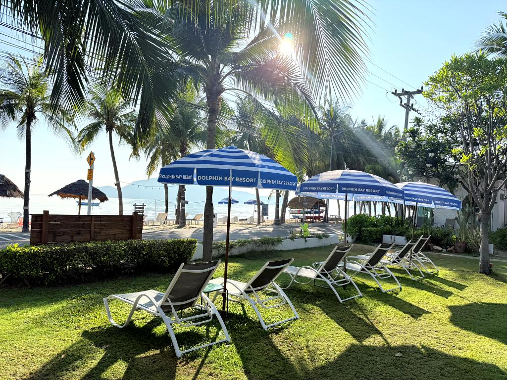 1024-NL-20260302_011834460_iOS