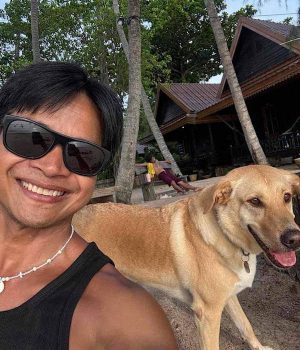 600 Phong auf Koh Tao 2025